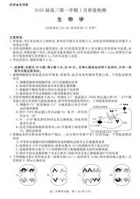 生物丨安徽省华师联盟2026届高三上学期1月质量检测试卷及答案