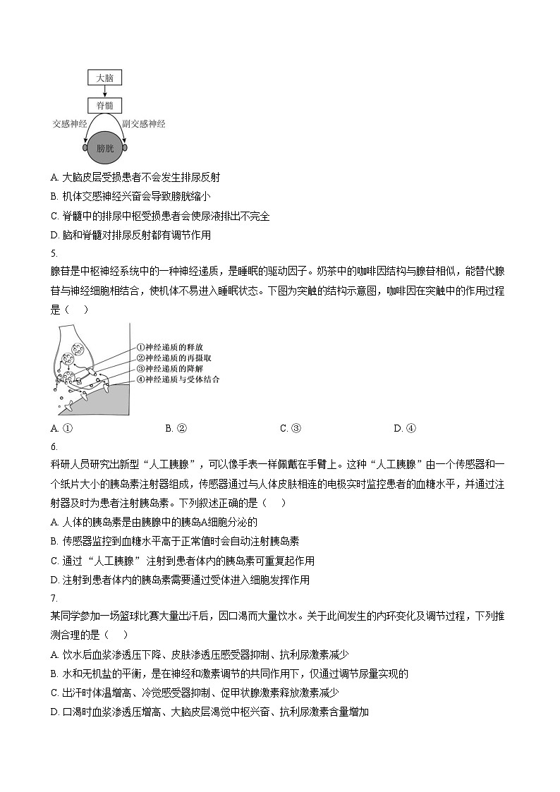 甘肃武威市古浪县第五中学2025_2026学年高二上学期期末考试生物试卷(文字版含答案)第2页