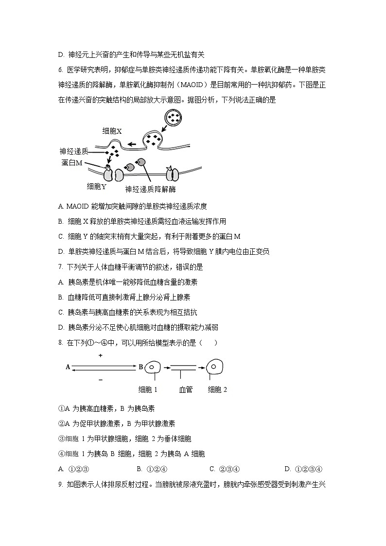 2025-2026学年吉林地区普通高中友好学校联合体高二上学期期中联考生物试卷(学生版)第2页