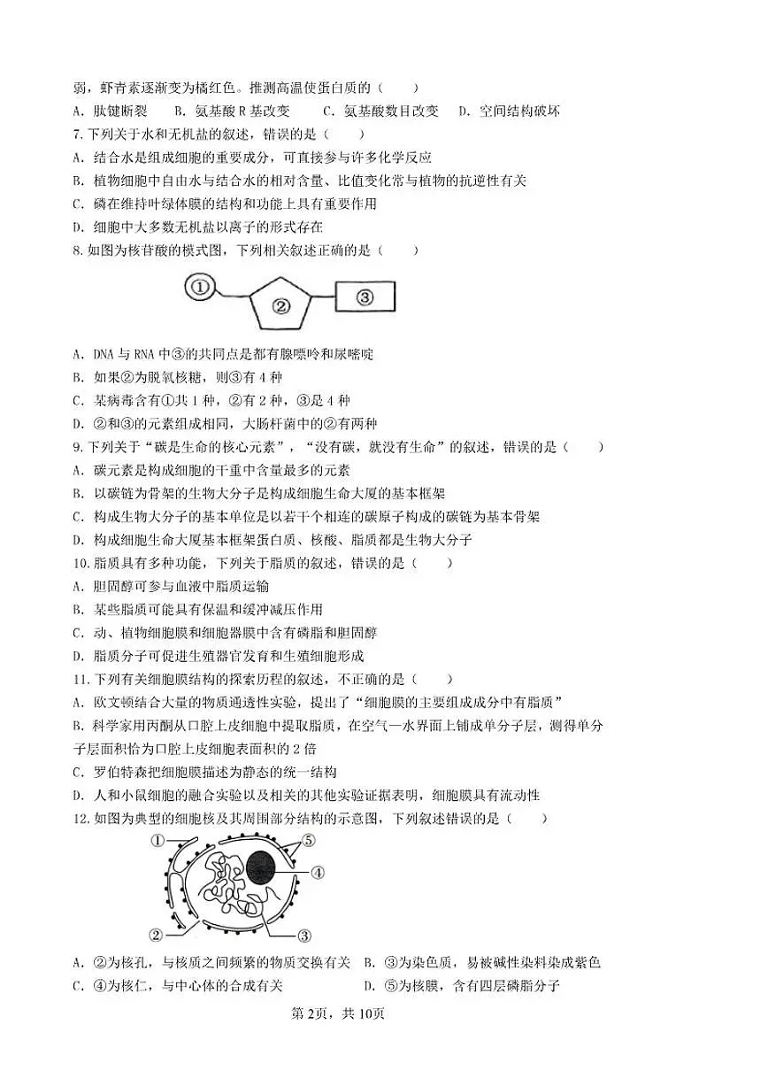 2025-2026学年宁夏回族自治区银川市永宁县永宁中学高一上学期第二次月考生物试题(有答案)第2页
