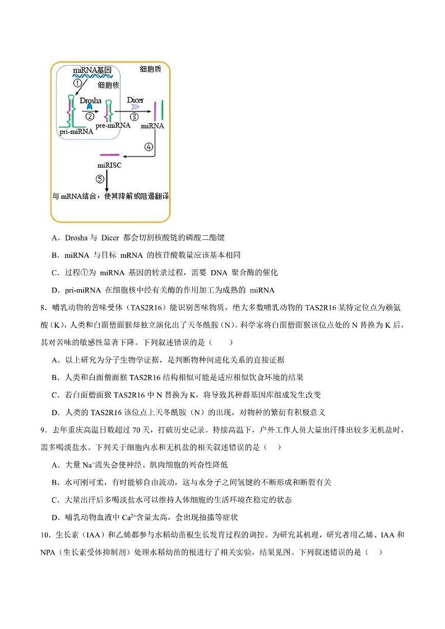 2026届四川省广安市字节精准教育联盟高三上学期第一次诊断性考试模拟测评生物试卷(有答案)第3页