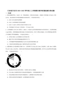 2025届江西省吉安市高三上学期期末教学质量检测生物试卷（有答案）