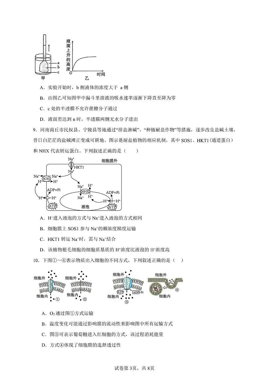 2025-2026学年安徽省六安市裕安区独山中学高一上学期12月月考生物试题(有答案)第3页