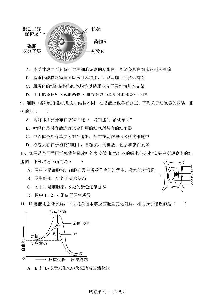2025-2026学年四川省南充市仪陇县仪陇中学校高一上学期12月月考生物试题(有答案)第3页