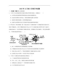 2025-2026学年湖南省岳阳市岳阳县第一中学高二上学期12月月考生物试题（有答案）