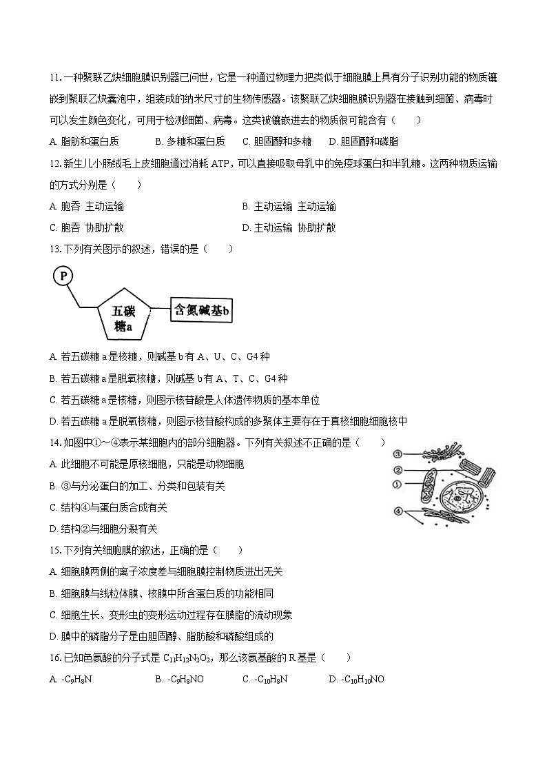 吉林省长春五中2025-2026学年高一(上)期末生物试卷【含答案】第3页