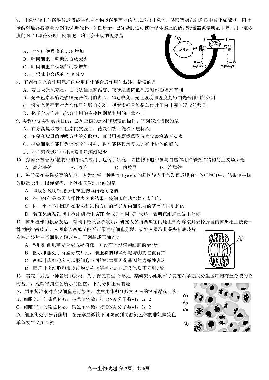 重庆市万州二中2024-2025学年高一下学期3月月考试题生物试卷(无答案)第2页