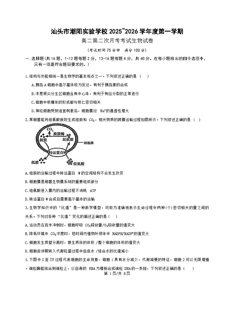 广东省汕头市潮阳区潮阳实验学校2025-2026学年高二上学期12月月考生物试题(含答案)第1页