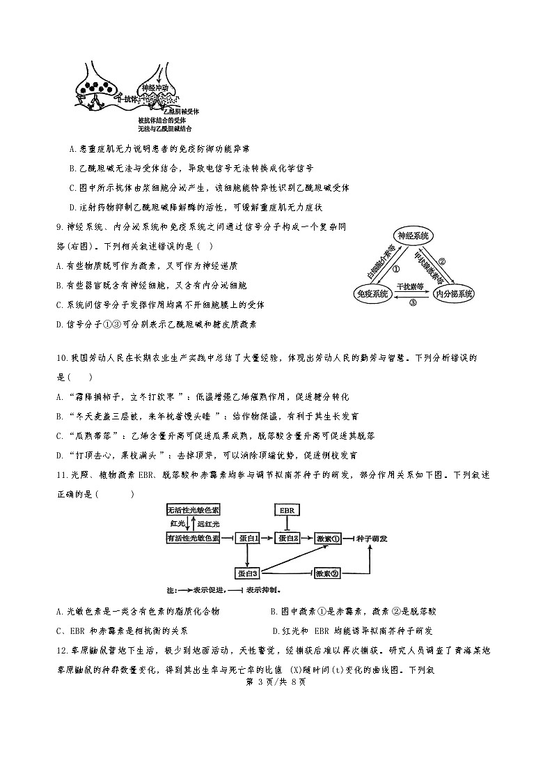 广东省汕头市潮阳区潮阳实验学校2025-2026学年高二上学期12月月考生物试题(含答案)第3页