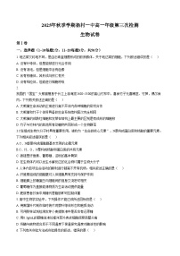 天津市武清区杨村第一中学2025—2026学年高一上学期第三次检测生物试题（文字版，含答案）