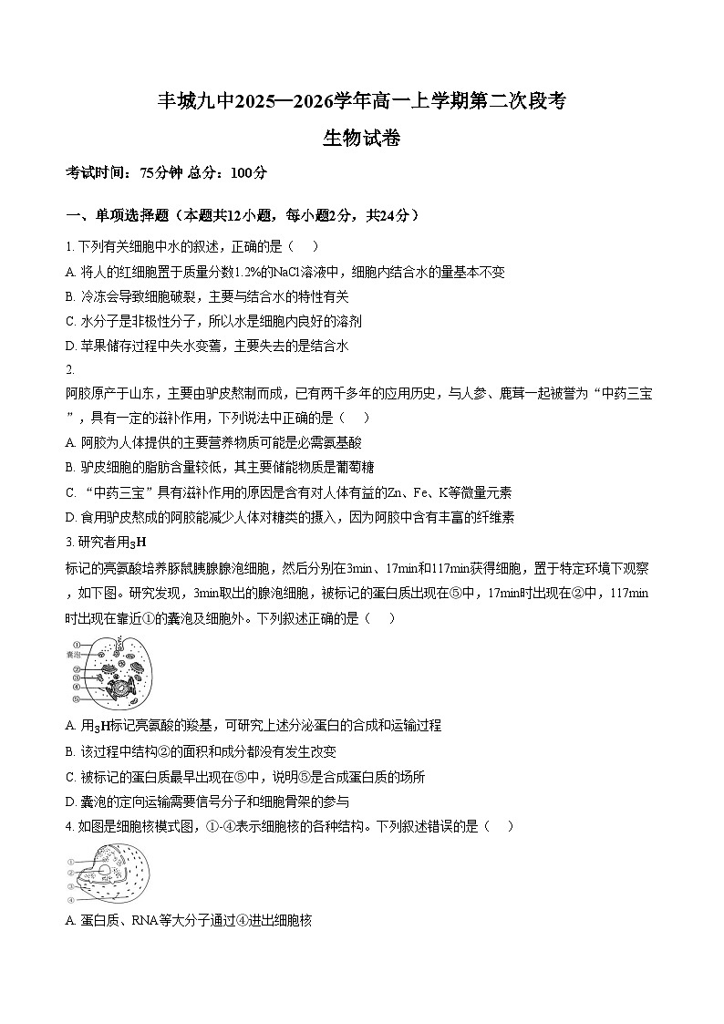 江西省宜春市丰城市第九中学2025_2026学年高一上学期第二次段考生物试卷(文字版,含答案)第1页
