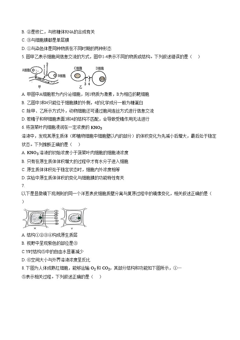 江西省宜春市丰城市第九中学2025_2026学年高一上学期第二次段考生物试卷(文字版,含答案)第2页