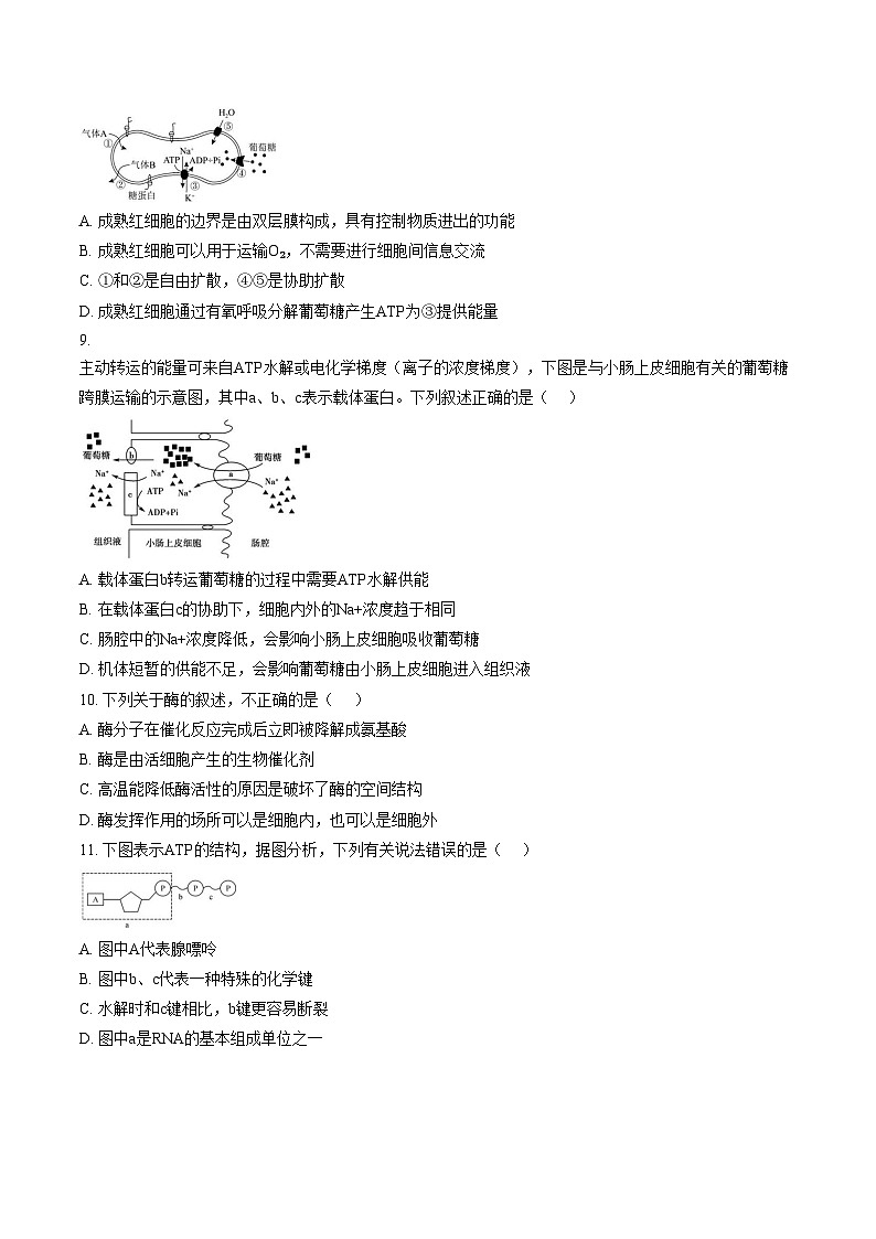 江西省宜春市丰城市第九中学2025_2026学年高一上学期第二次段考生物试卷(文字版,含答案)第3页