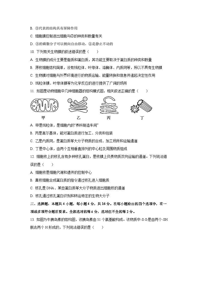 【生物】湖南省雅礼教育集团九校2025-2026学年高一上学期期中联考试题(学生版)第3页