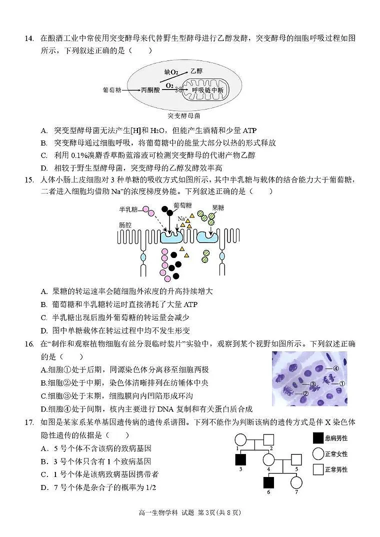 浙江省台州市山海协作体2024-2025学年高一下学期4月期中联考生物试题(无答案)第3页