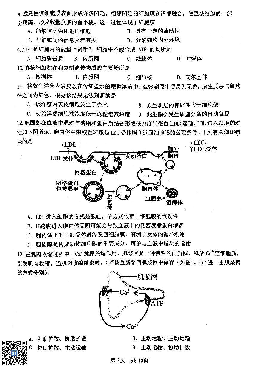 2026北京一零一中高一(上)期末生物试卷 有答案第2页