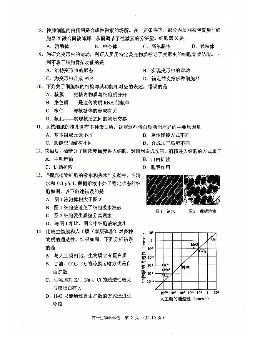 2026北京石景山高一(上)期末生物试卷 无答案第2页