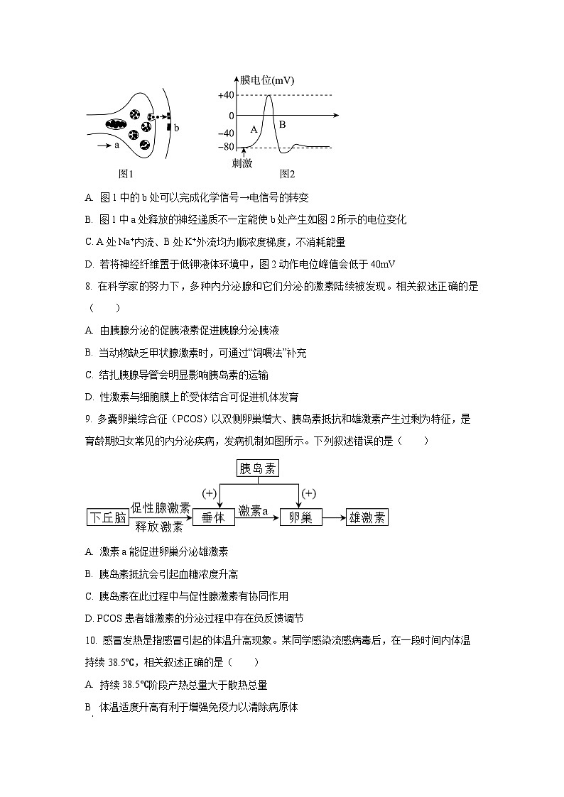【生物】江苏省连云港市东海县2025-2026学年高二上学期11月期中试题(学生版)第3页