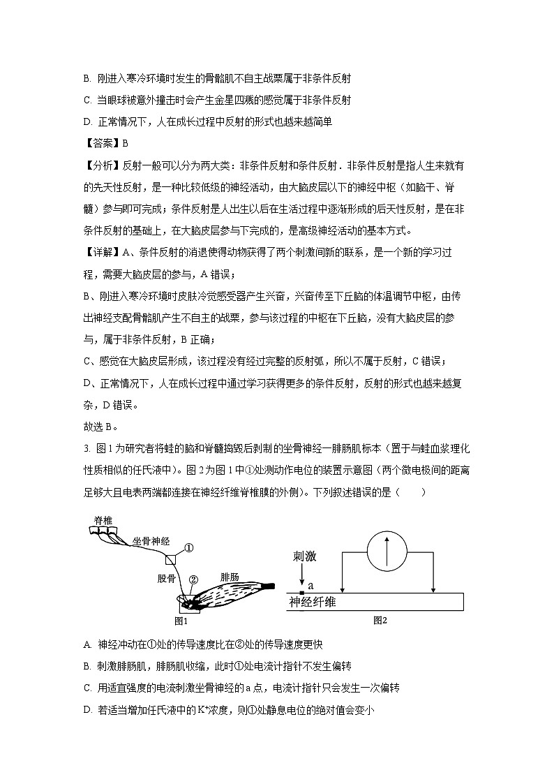 【生物】辽宁省锦州市某校2025-2026学年高二上学期第二次月考试卷(解析版)第2页