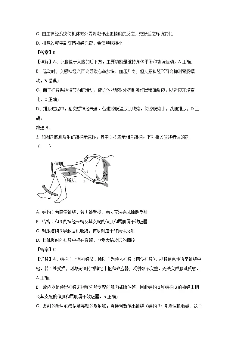 【生物】山东省济宁市兖州区2025-2026学年高二上学期期中试题(解析版)第2页