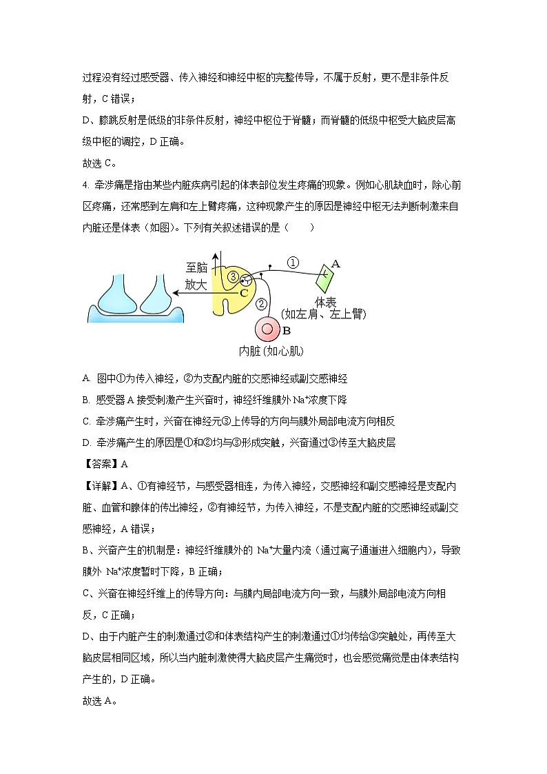 【生物】山东省济宁市兖州区2025-2026学年高二上学期期中试题(解析版)第3页