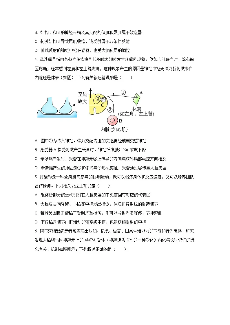 【生物】山东省济宁市兖州区2025-2026学年高二上学期期中试题(学生版)第2页