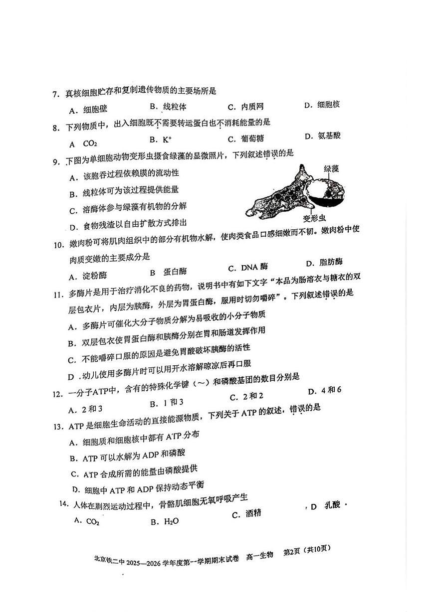 北京市铁路第二中学2025-2026学年高一上学期1月期末生物试题第2页