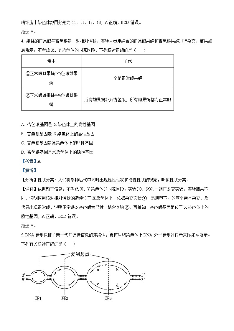 精品解析:河南省创新发展联盟2023-2024学年高一下学期7月期末生物试题(解析版)第3页