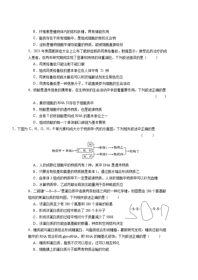 四川省成都市石室中学2024-2025学年高一上学期12月期中试题生物试卷(无答案)第2页