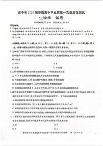 2025-2026学年广西南宁市普通高中毕业班高三上学期第一次适应性测试生物试题（含答案）