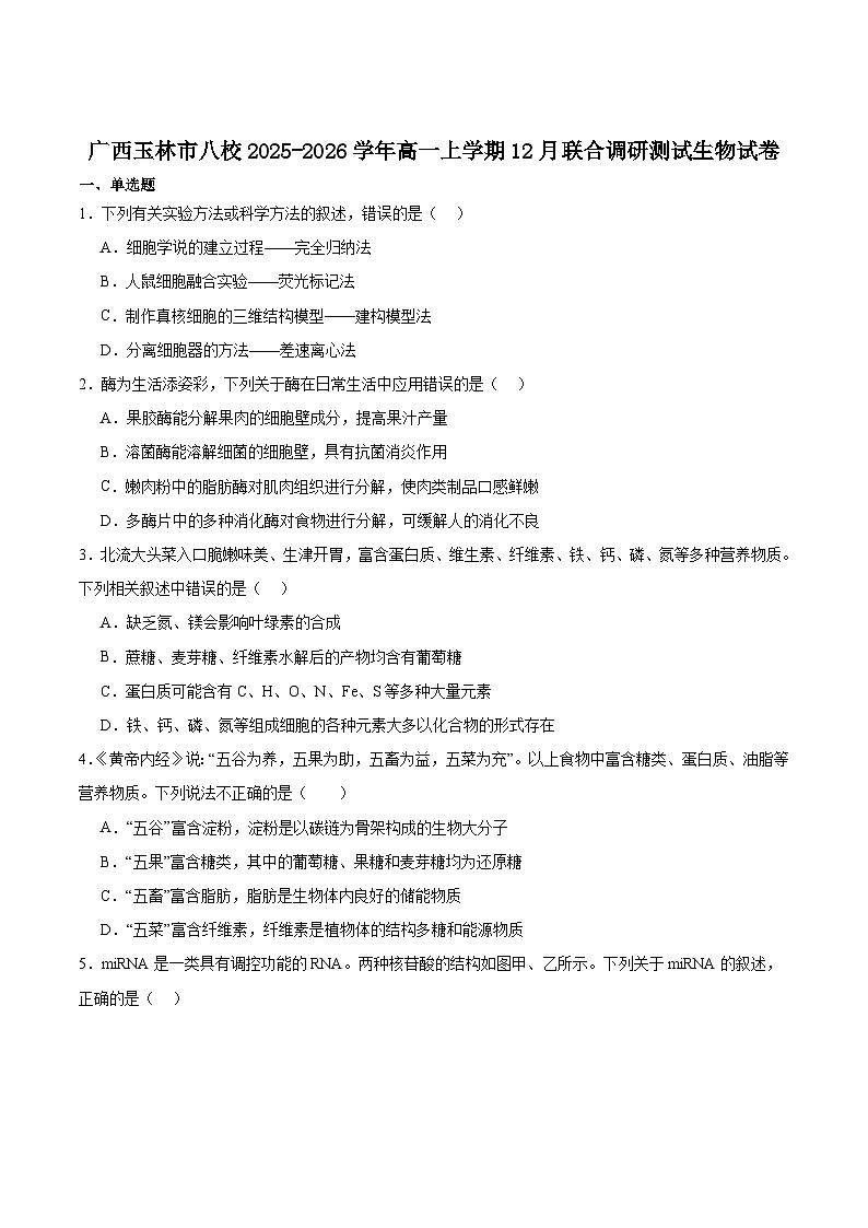 广西玉林市八校2025-2026学年高一上学期12月联合调研测试生物试卷(含答案)第1页