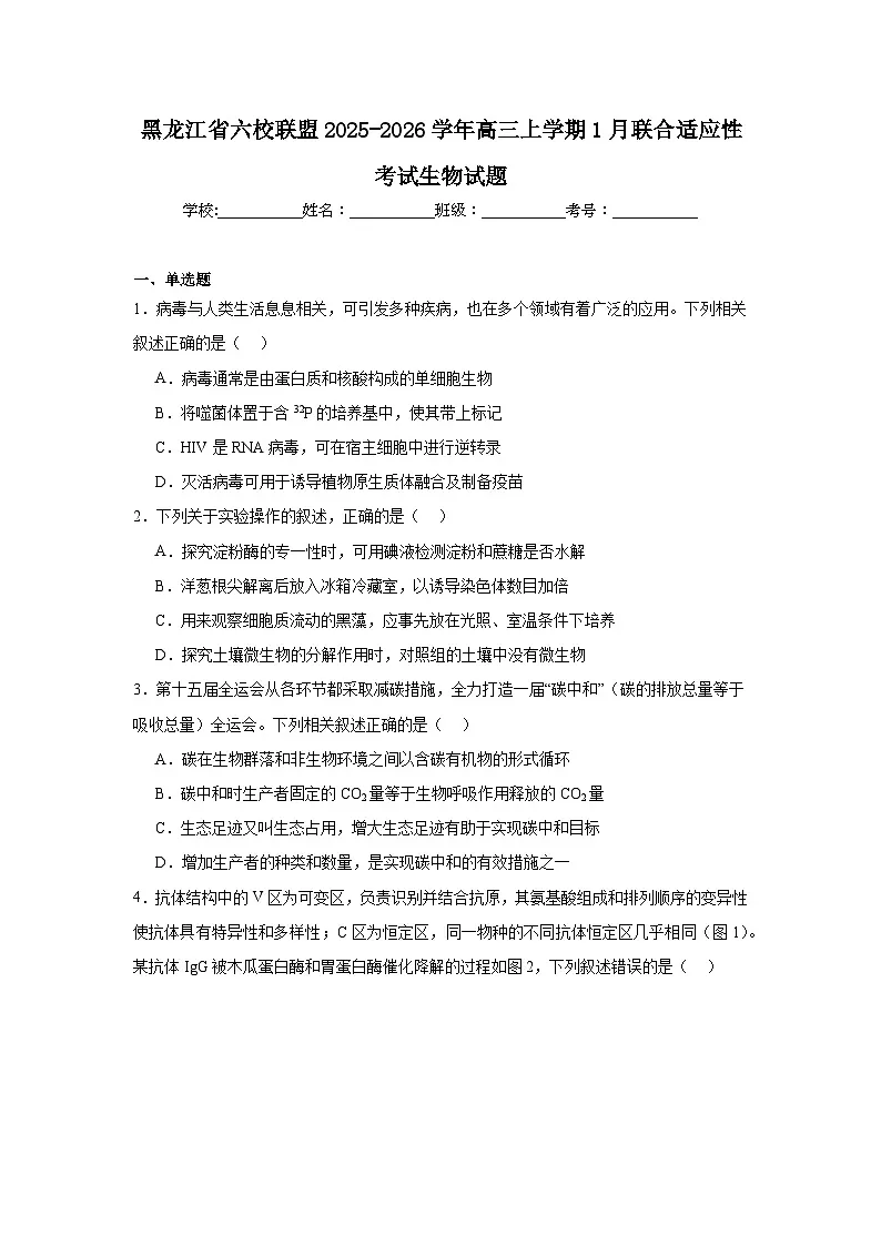 2025-2026学年黑龙江省六校联盟高三上学期1月联合适应性考试生物试题(附答案解析)第1页