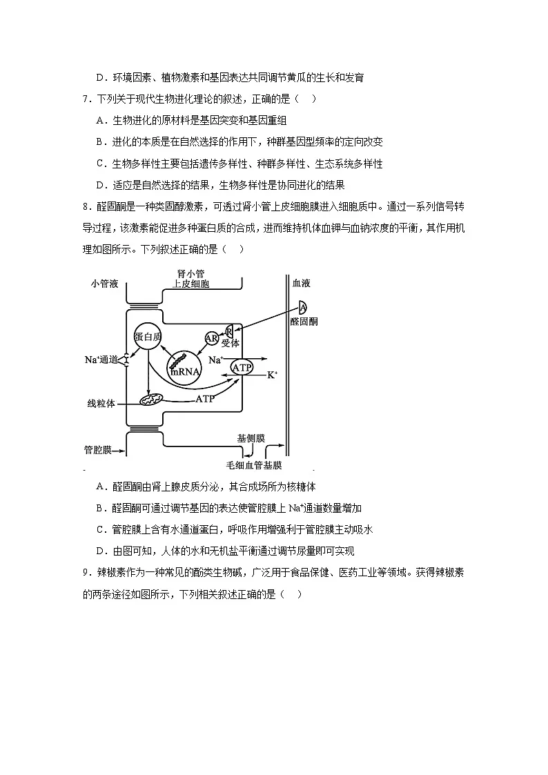 2025-2026学年黑龙江省六校联盟高三上学期1月联合适应性考试生物试题(附答案解析)第3页