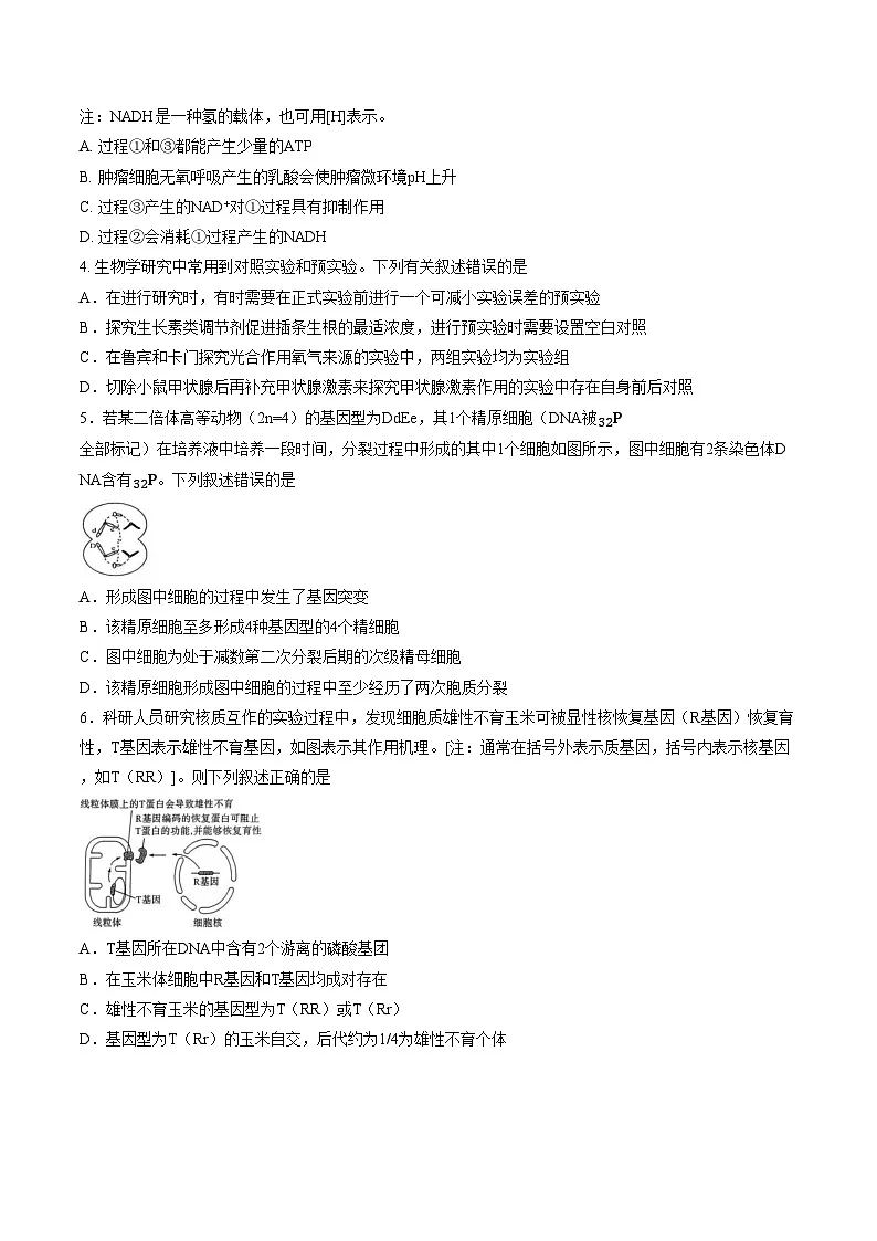 河南省南阳市2025_2026学年高三上学期1月期末生物试题(文字版,含答案)第2页