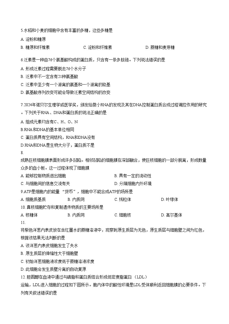 2026北京一零一中高一(上)期末生物(文字版,含答案)第2页