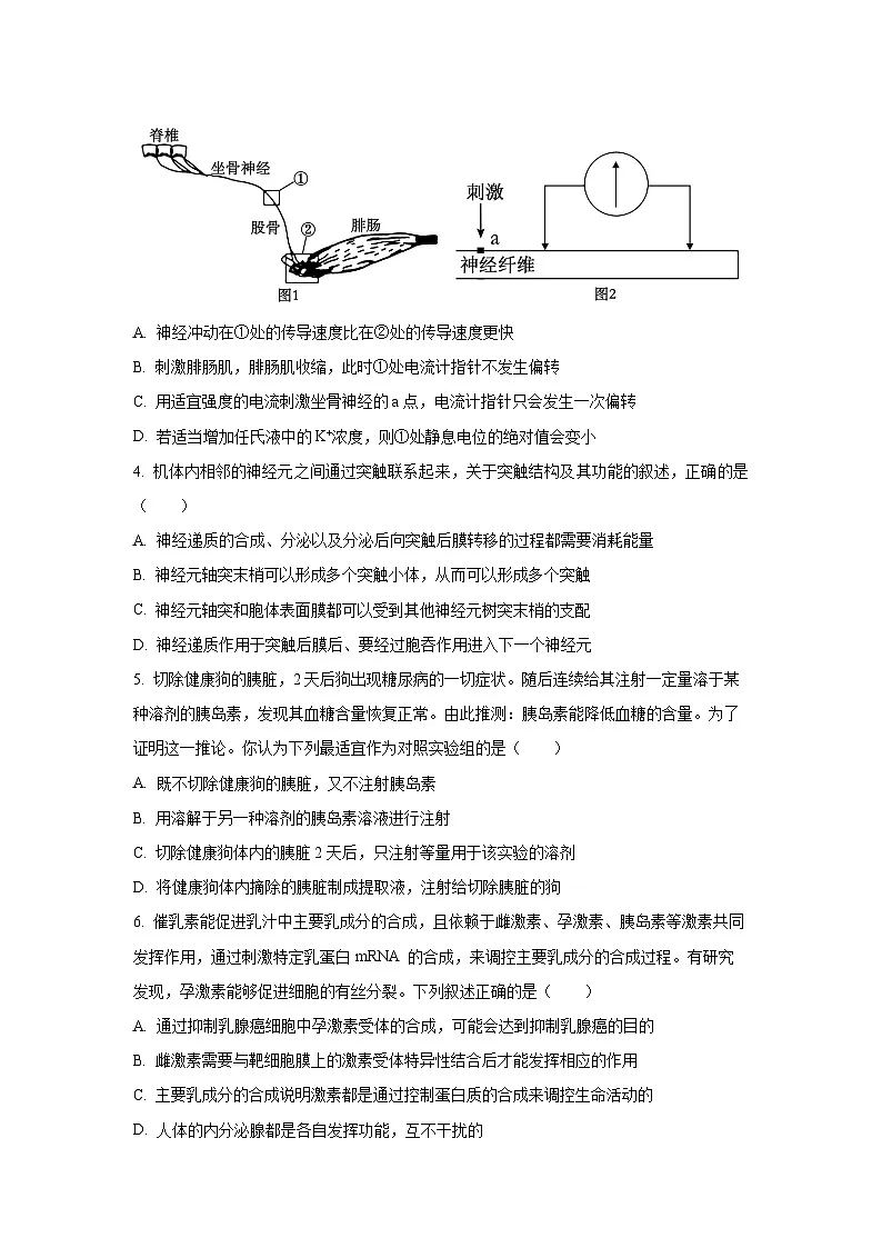 2025-2026学年辽宁省锦州市某校高二上学期第二次月考生物试卷(学生版)第2页