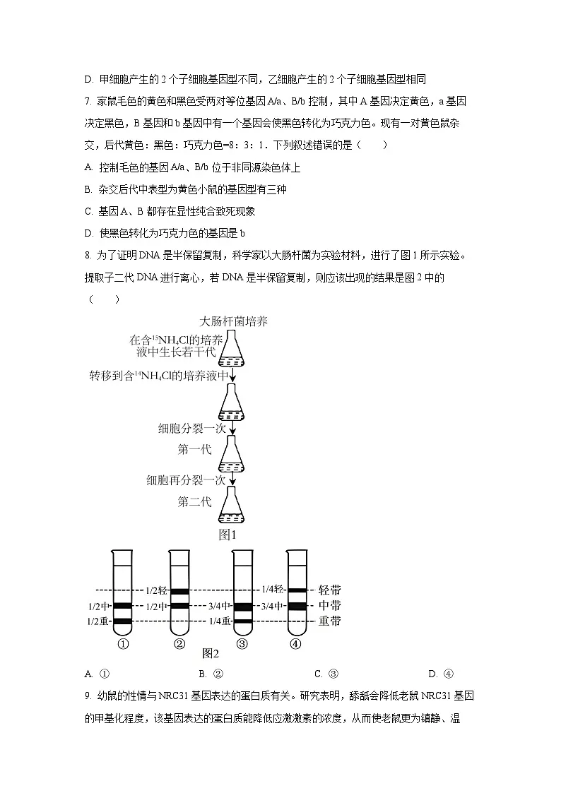 2025-2026学年云南省多校高二上学期期中生物试卷(学生版)第3页