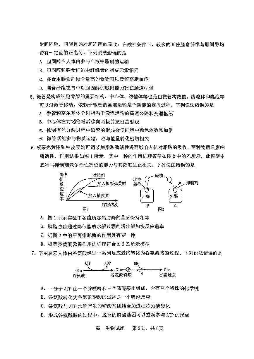 山东省烟台市2024-2025年高一上学期期末考试生物试题(无答案)第2页