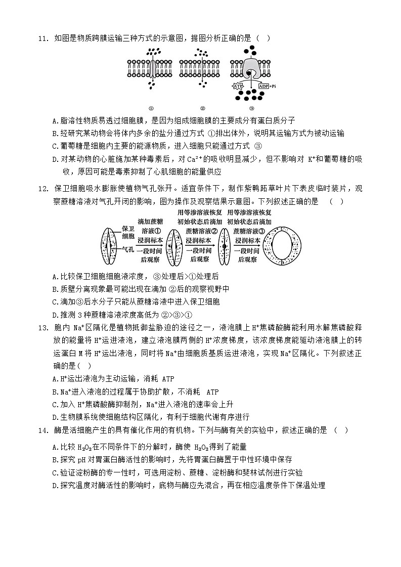 湖北省新高考联考协作体2024-2025学年高一上学期12月联考生物试卷B(无答案)第3页