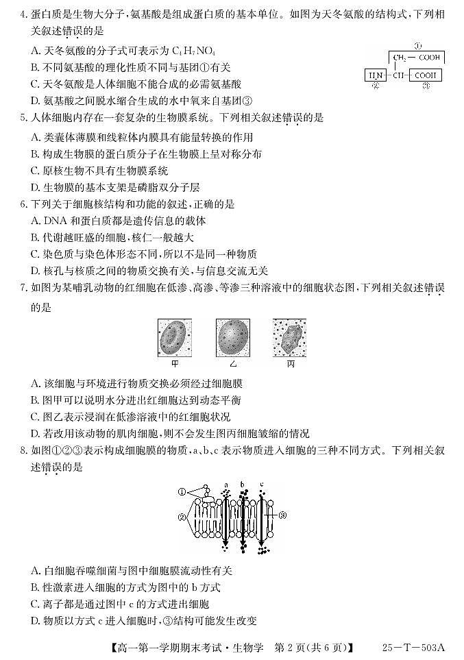 陕西省九师联盟2024-2025学年高一上学期1月期末考试(25-T-503A)生物试卷(无答案)第2页