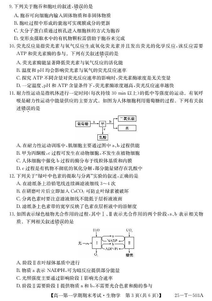 陕西省九师联盟2024-2025学年高一上学期1月期末考试(25-T-503A)生物试卷(无答案)第3页