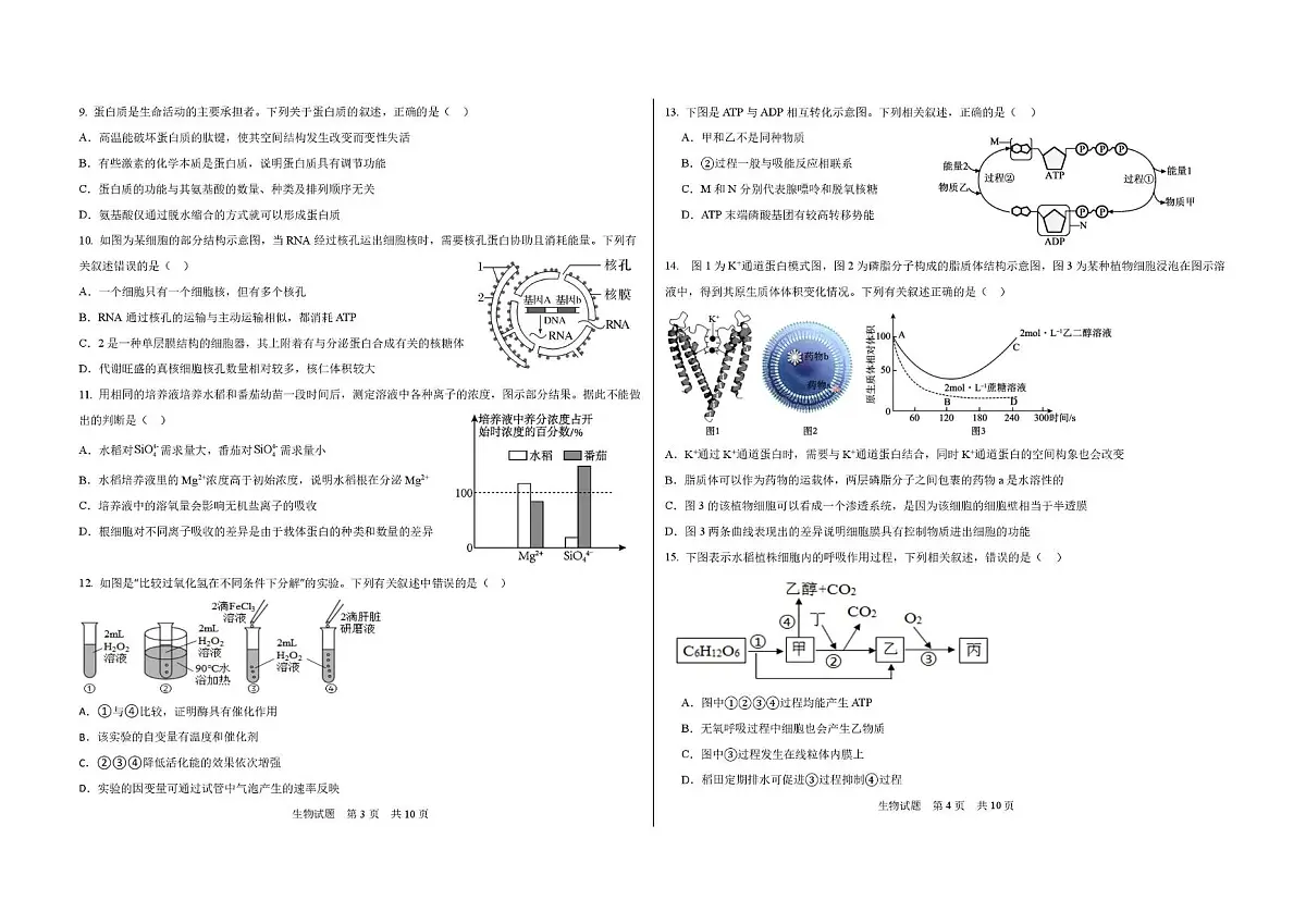 黑龙江省大庆市大庆中学2024-2025学年高一下学期开学生物试卷(无答案)第2页