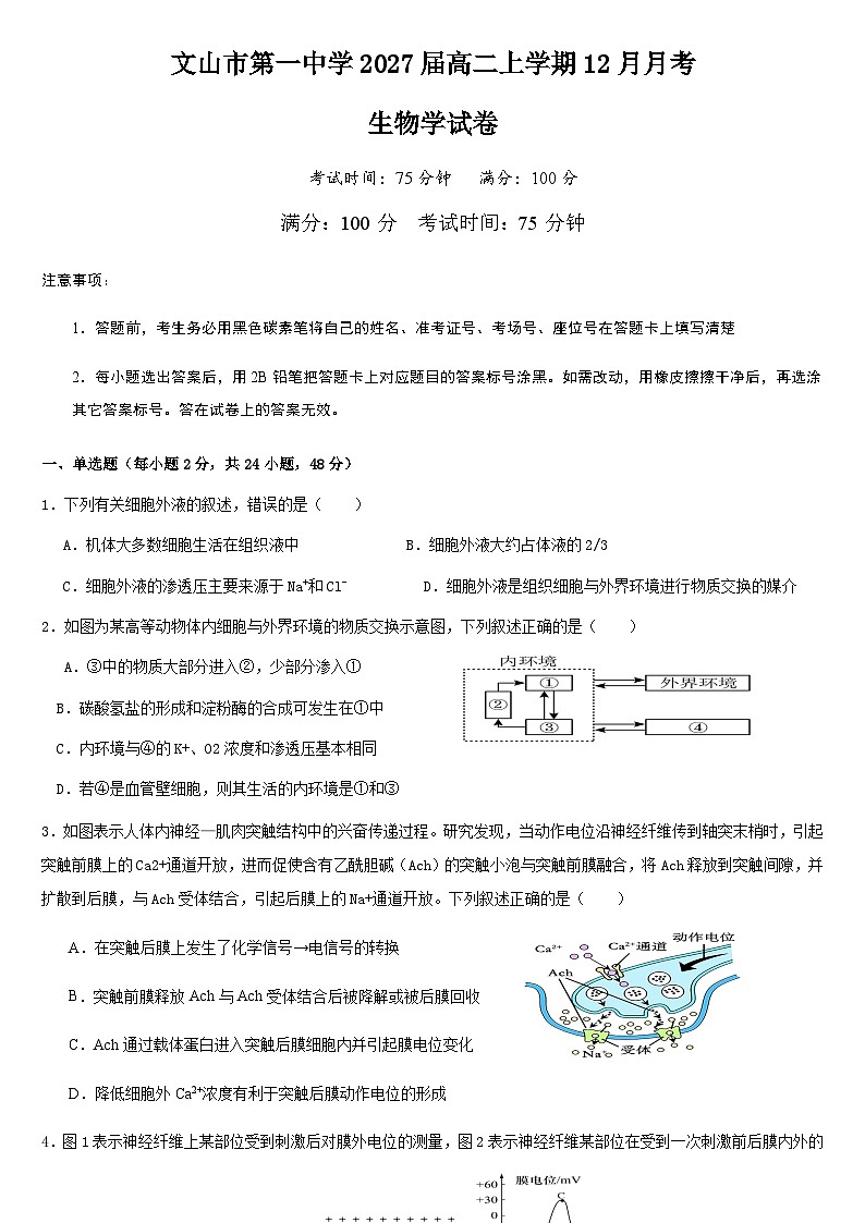 云南省文山壮族苗族自治州文山市第一中学2025-2026学年高二上学期12月月考生物试卷(无答案)第1页