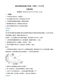 湖北省武昌实验中学2025-2026学年高一上学期十二月月考生物试卷 Word版含解析