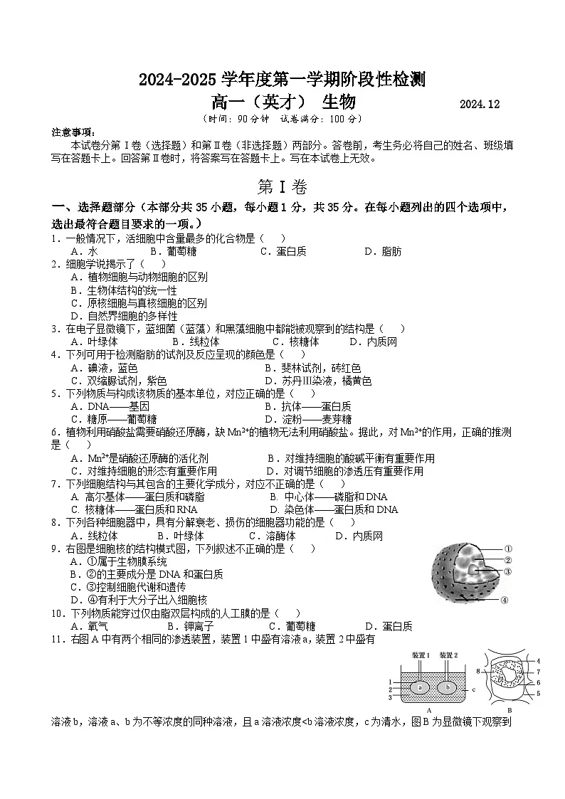 高一上12月月考生物第1页