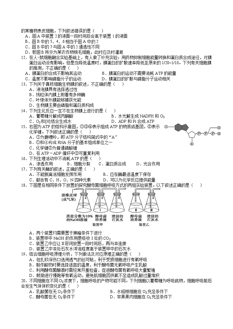 高一上12月月考生物第2页