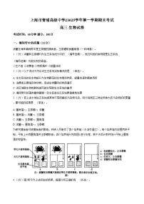 上海市青浦高级中学2025_2026学年高三上学期期末生物试题（文字版，含答案）