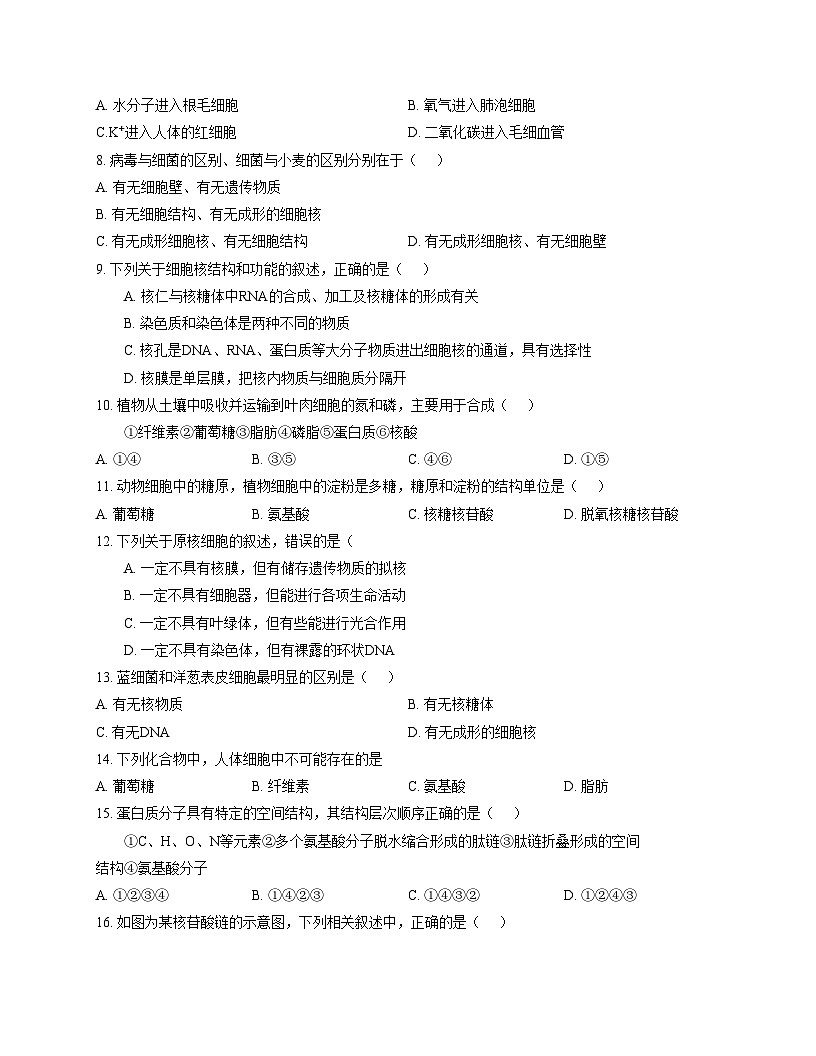 天津市东丽区天津钢管公司中学2025_2026学年高一上学期12月月考生物试题(文字版,含答案)第2页