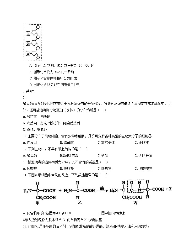 天津市东丽区天津钢管公司中学2025_2026学年高一上学期12月月考生物试题(文字版,含答案)第3页