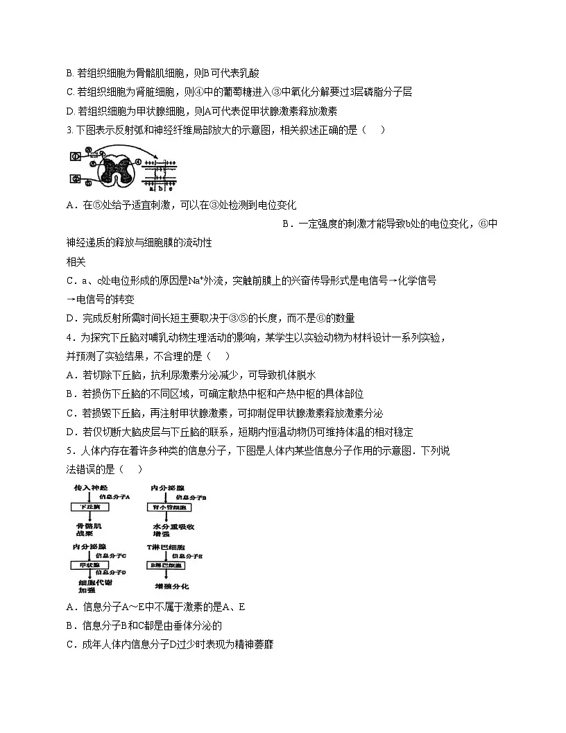 陕西省咸阳市永寿县中学2025—2026学年高二上学期第二次月考生物试题(文字版,含答案)第2页